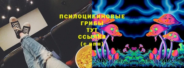 PSILOCYBIN Бугульма